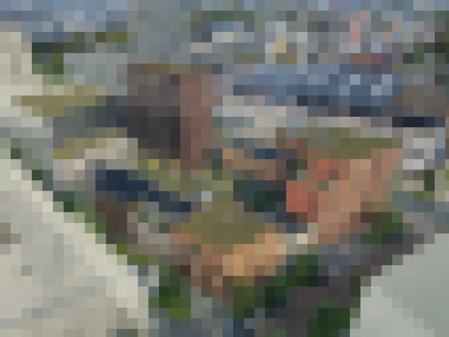 Westervoortsedijk 305 Arnhem thumbnail 9