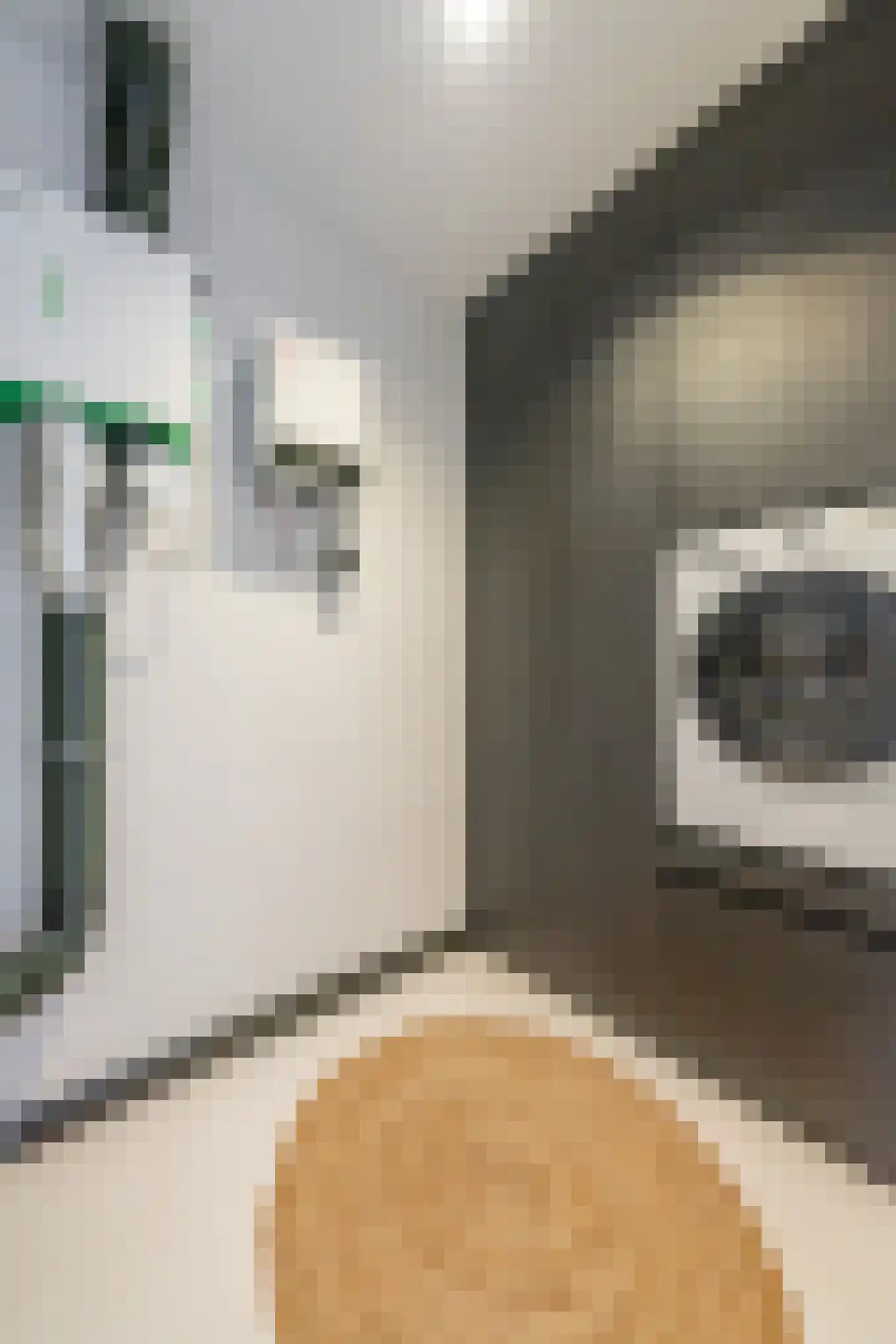 Westervoortsedijk 36 Arnhem thumbnail 38