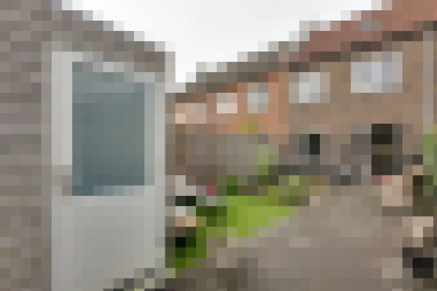 Westerwal 16 Assen thumbnail 32