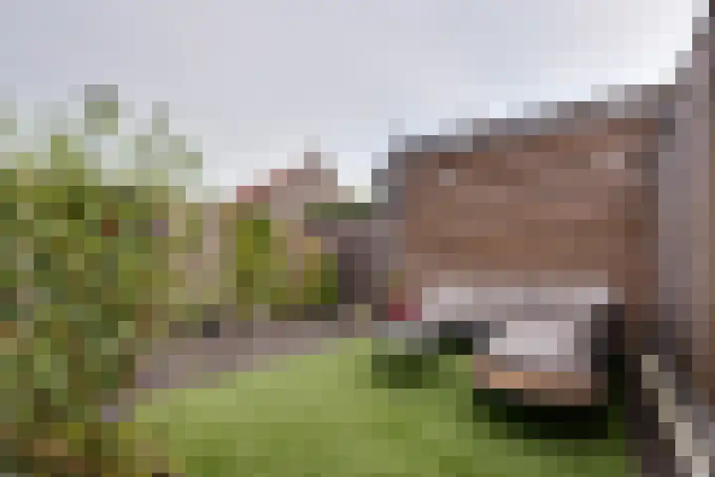 Westerwal 16 Assen thumbnail 33