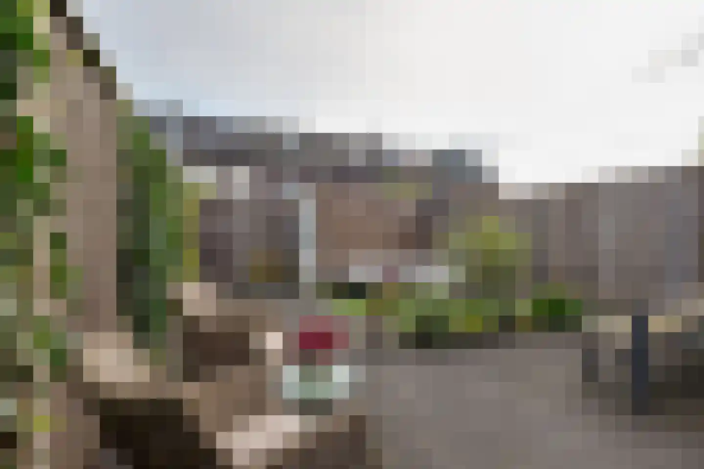 Westerwal 16 Assen thumbnail 34