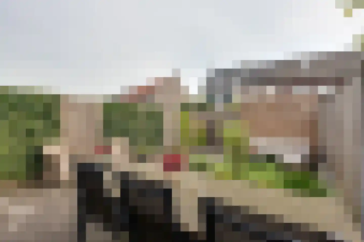 Westerwal 16 Assen thumbnail 35