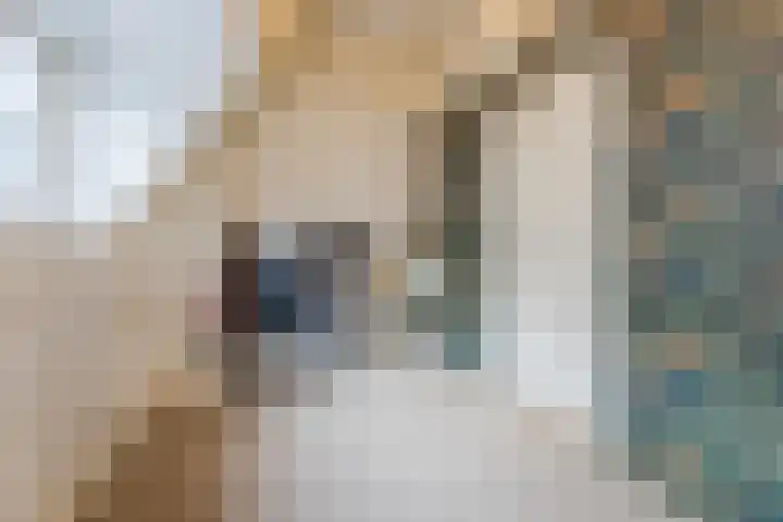Westerwal 16 Lochem thumbnail 23
