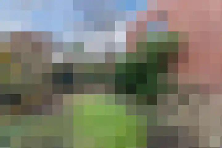 Westerwal 16 Lochem thumbnail 26