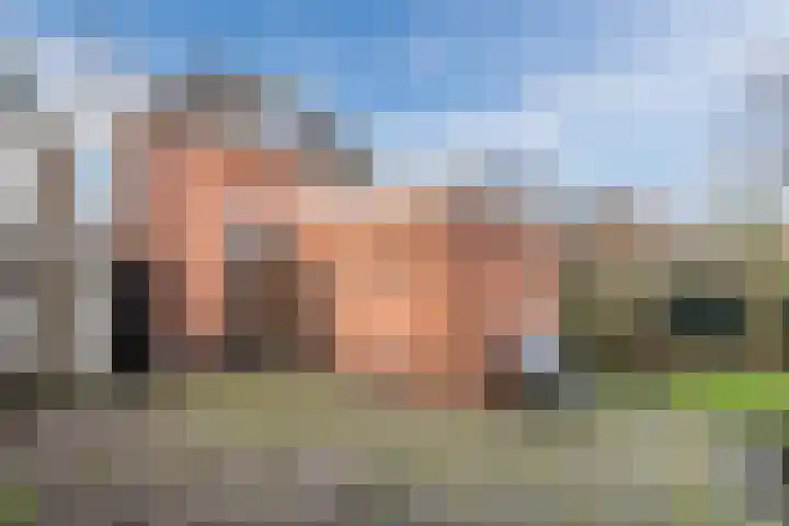Westerwal 16 Lochem thumbnail 27