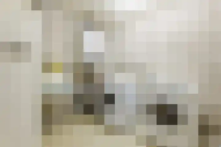 Westerwal 16 Lochem thumbnail 32