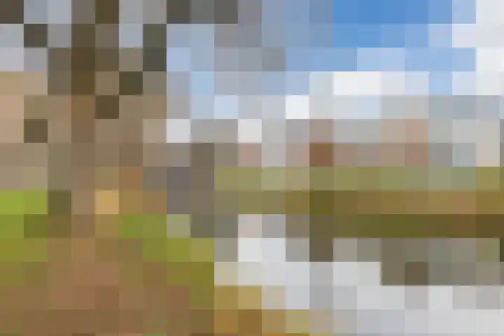 Westerwal 16 Lochem thumbnail 40
