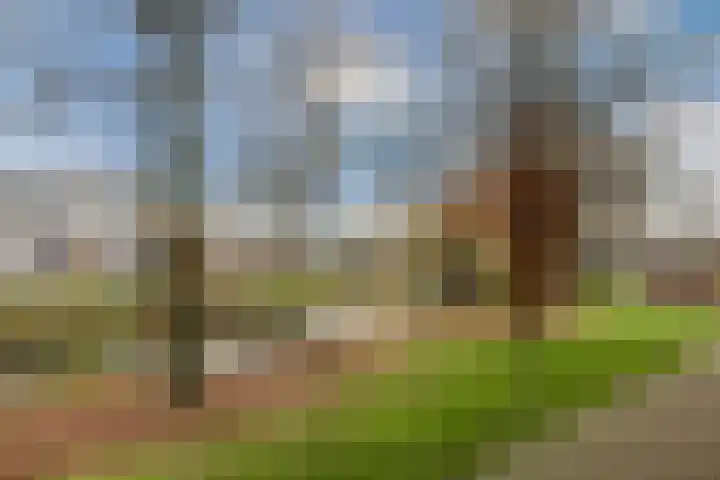 Westerwal 16 Lochem thumbnail 41