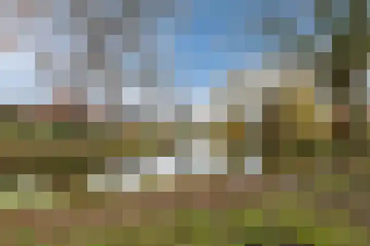 Westerwal 16 Lochem thumbnail 42