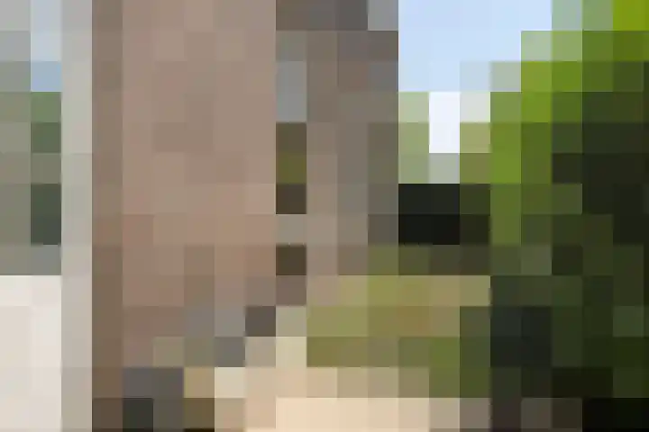 Westerwal 17 A Oudewater thumbnail 14