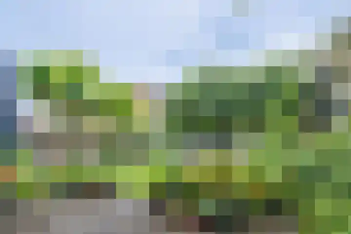 Westerwal 19 Lochem thumbnail 21