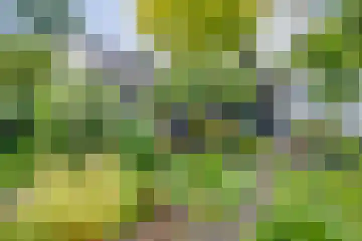 Westerwal 19 Lochem thumbnail 22