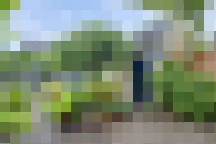 Westerwal 19 Lochem thumbnail 23