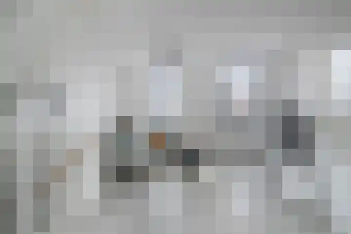 Westerwal 21 Oudewater thumbnail 9