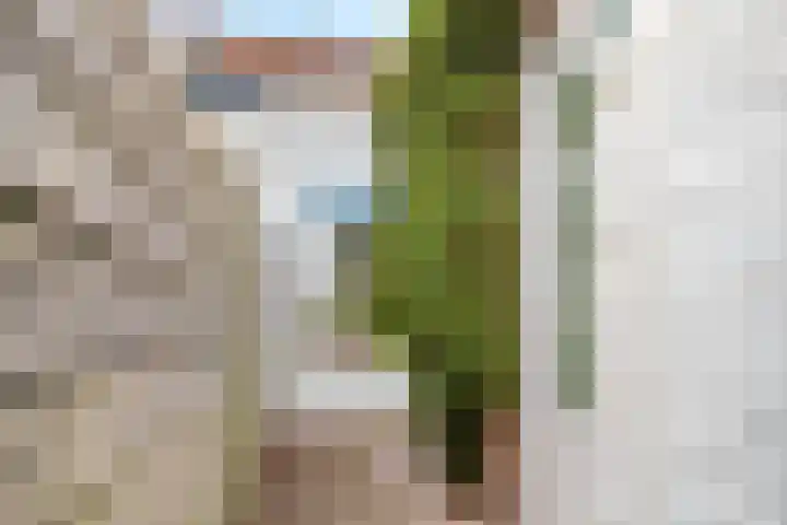Westerwal 22 Culemborg thumbnail 18