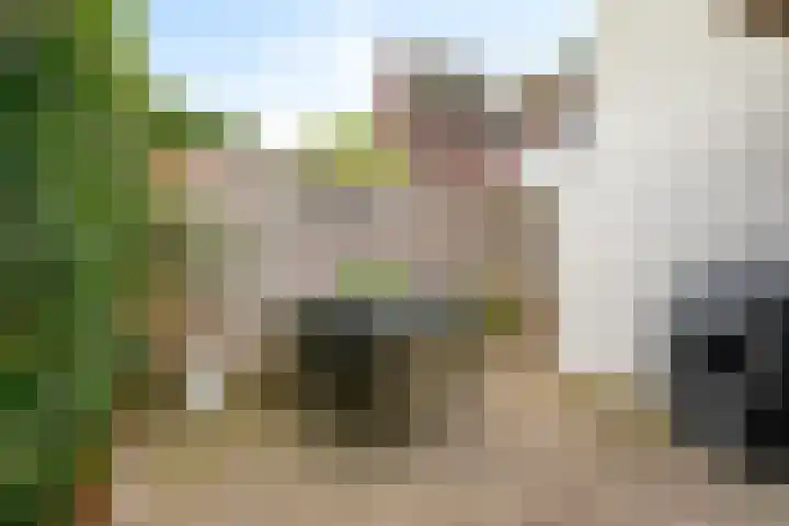 Westerwal 22 Culemborg thumbnail 19