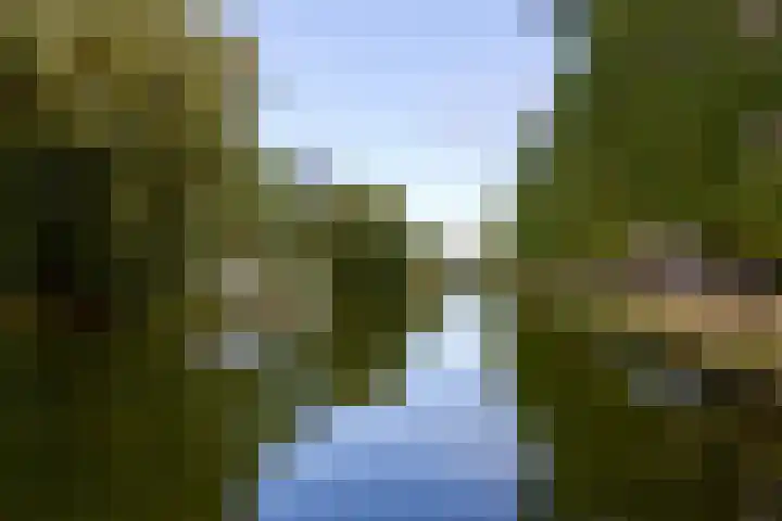 Westerwal 22 Culemborg thumbnail 31