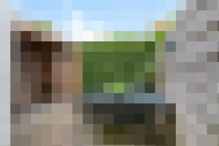 Westerwal 22 Culemborg thumbnail 5