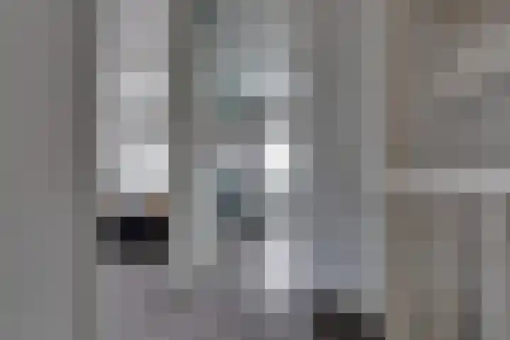 Westerwal 30 Assen thumbnail 11