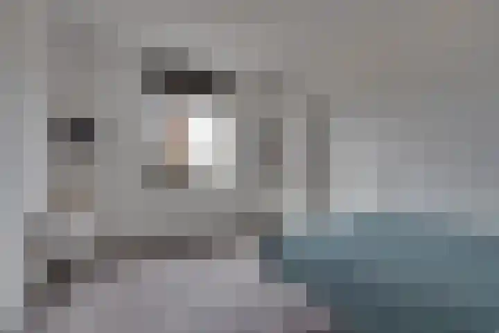 Westerwal 30 Assen thumbnail 16