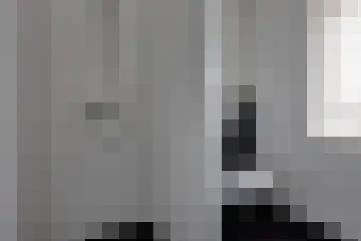 Westerwal 30 Assen thumbnail 18