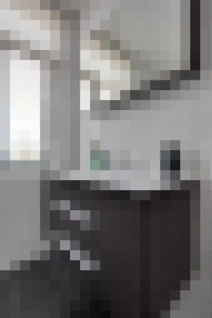 Westerwal 30 Assen thumbnail 19