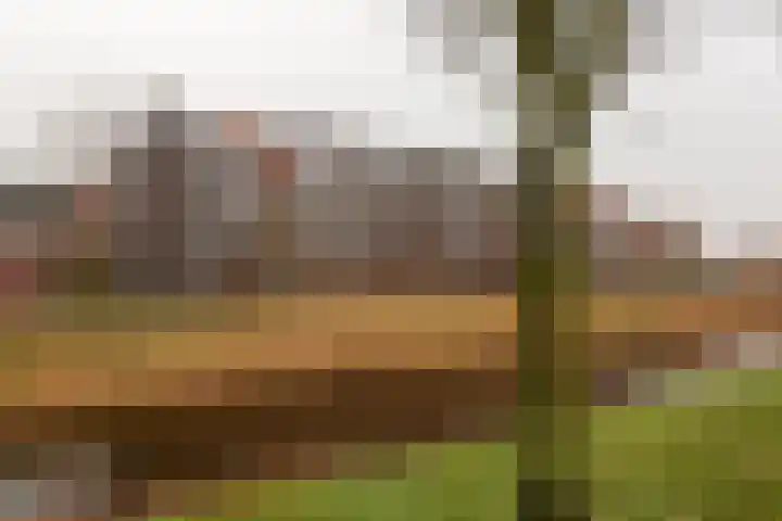 Westerwal 30 Assen thumbnail 29
