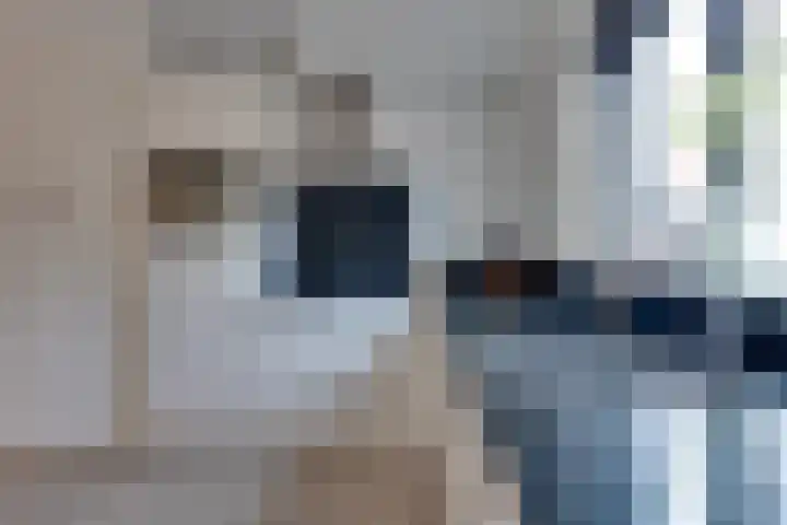 Westerwal 30 Assen thumbnail 8