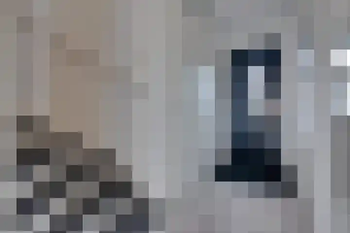 Westerwal 30 Assen thumbnail 9