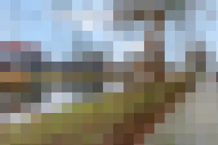 Westerwal 39 Culemborg thumbnail 36