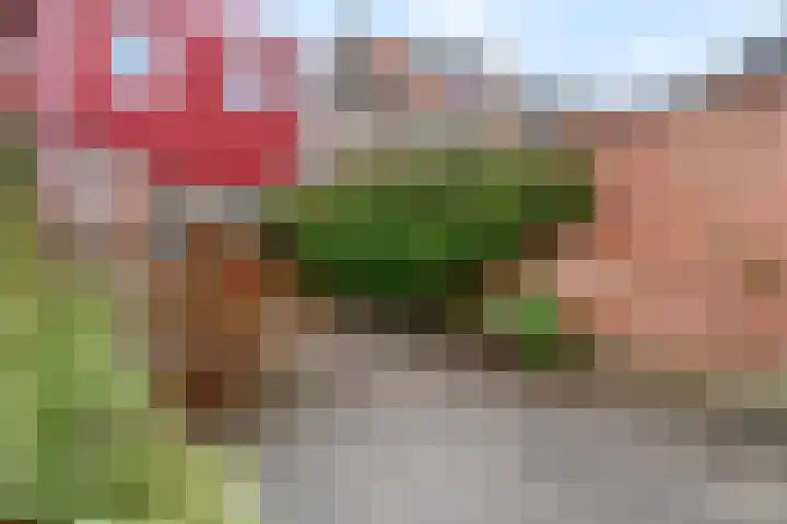 Westerwal 39 Culemborg thumbnail 4