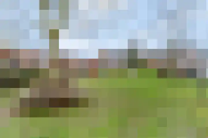 Westerwal 39 Culemborg thumbnail 42