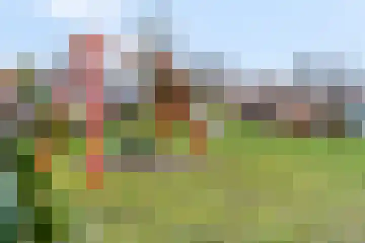 Westerwal 39 Culemborg thumbnail 43