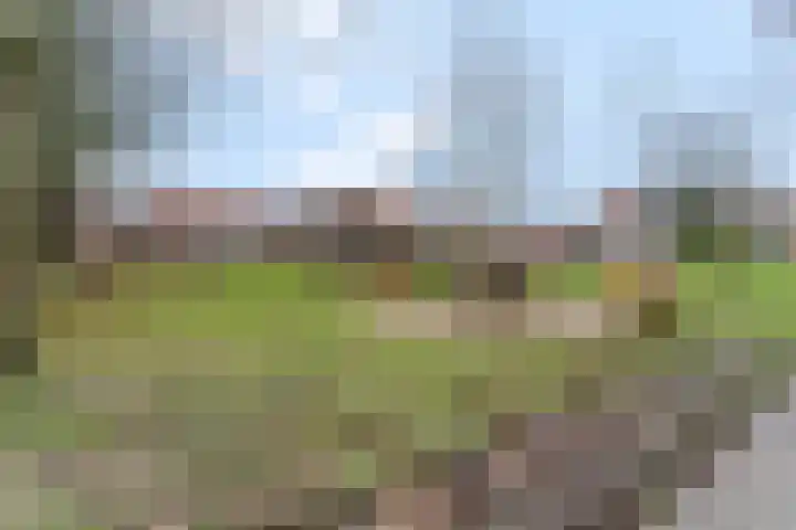 Westerwal 39 Culemborg thumbnail 44