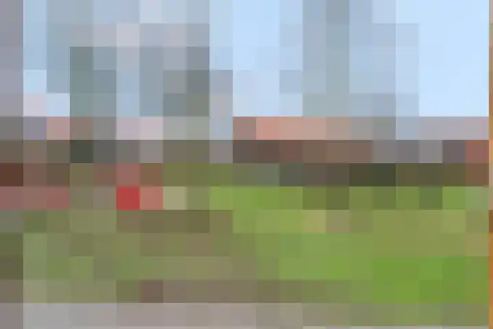 Westerwal 39 Culemborg thumbnail 45