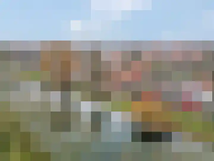 Westerwal 39 Culemborg thumbnail 49
