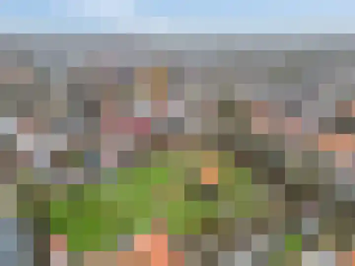 Westerwal 39 Culemborg thumbnail 51