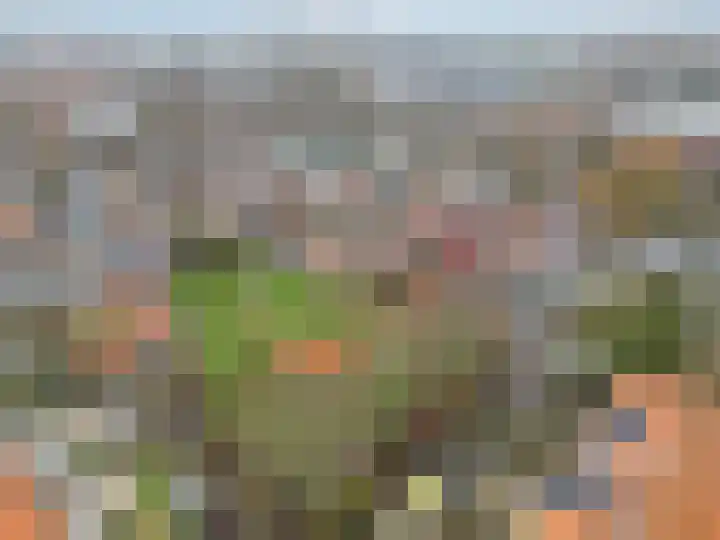 Westerwal 39 Culemborg thumbnail 52