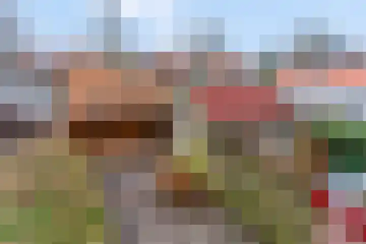 Westerwal 39 Culemborg thumbnail 7
