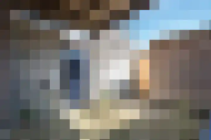 Westerwal 4 Culemborg thumbnail 10