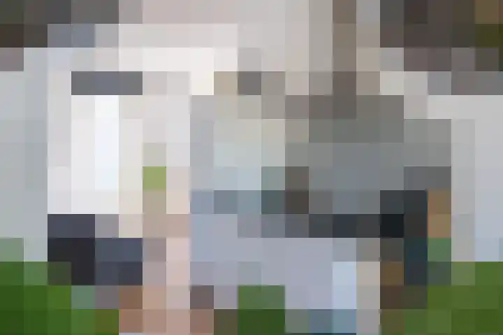 Westerwal 4 Culemborg thumbnail 20