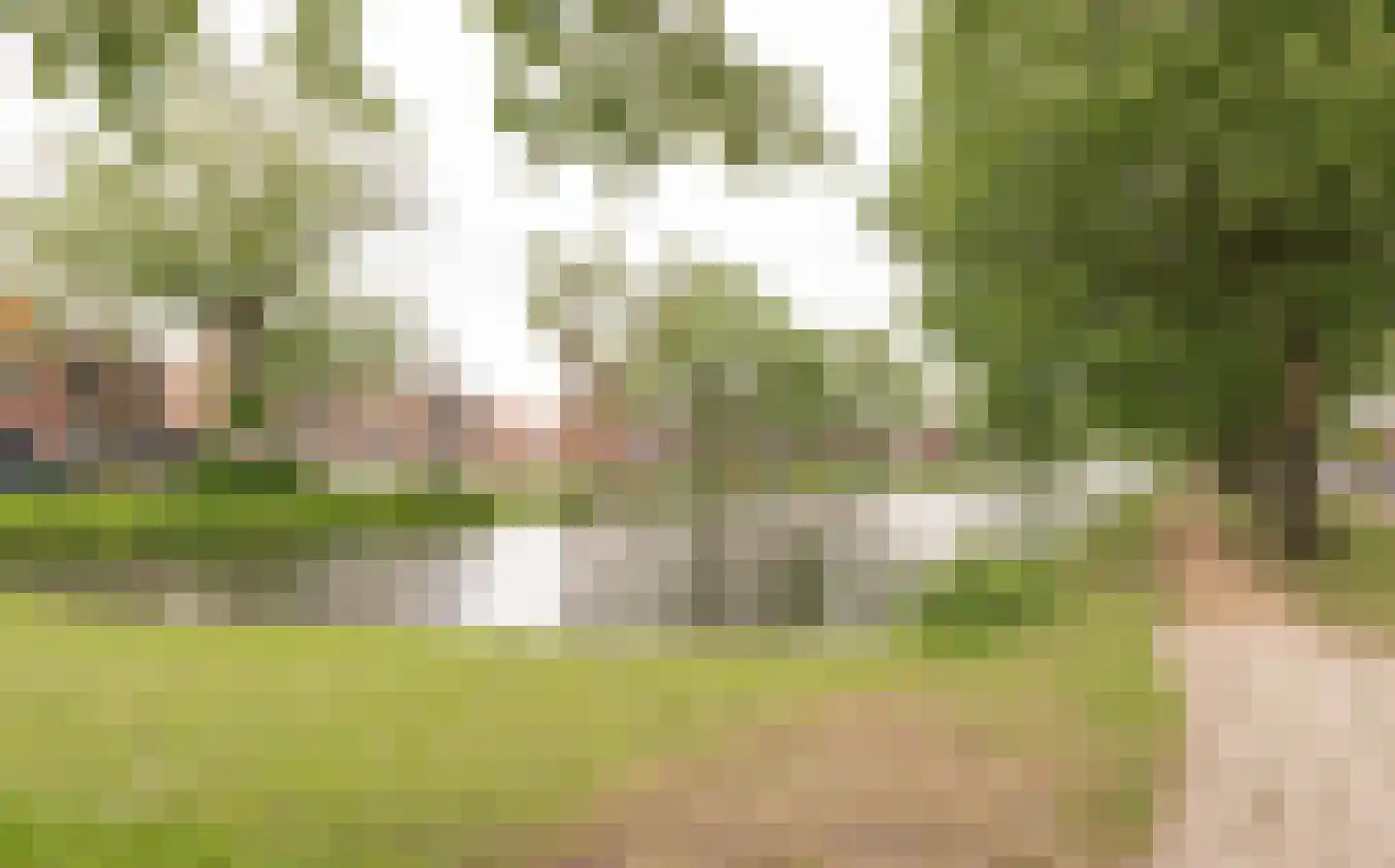 Westerwal 5 c Culemborg thumbnail 36