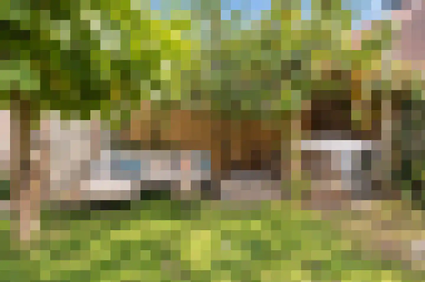 Westerwal 5 Culemborg thumbnail 27