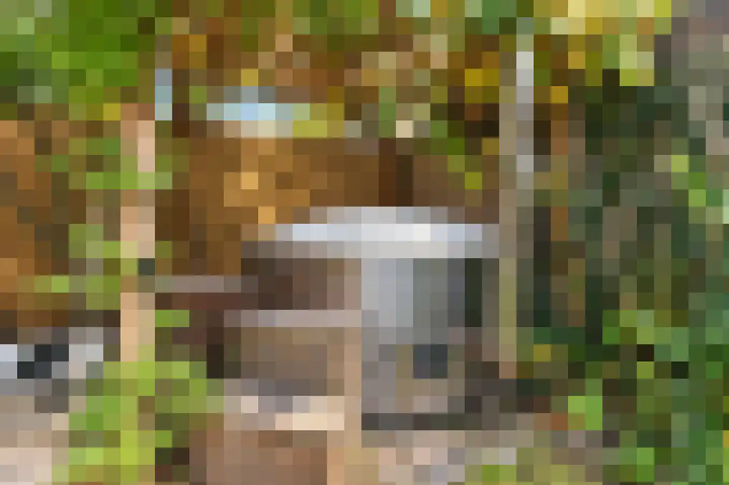 Westerwal 5 Culemborg thumbnail 28