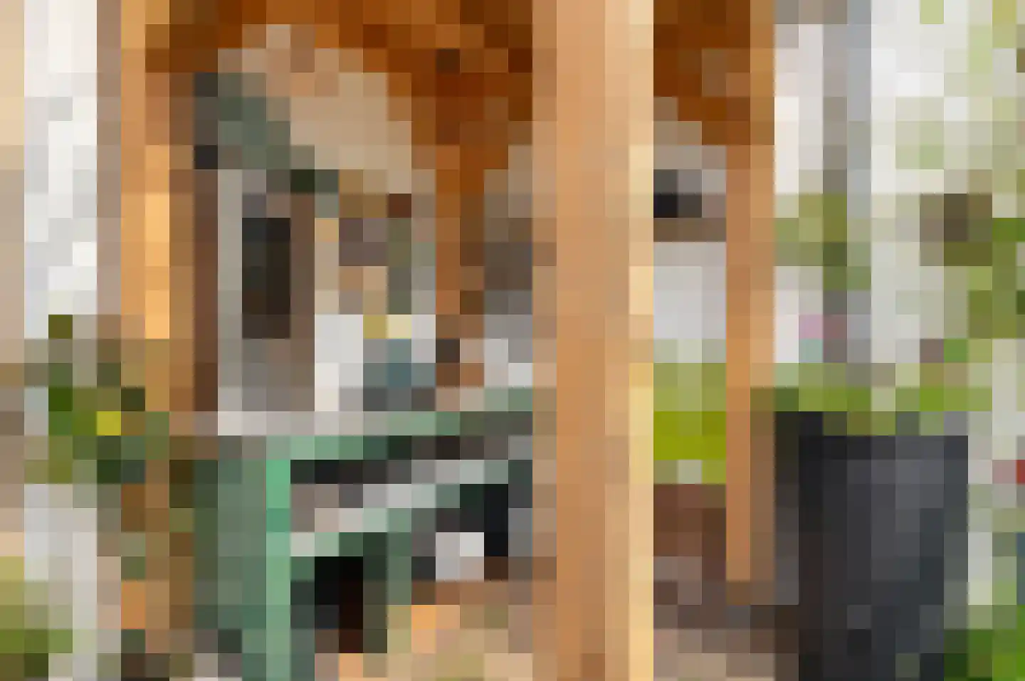 Westerwal 5 Culemborg thumbnail 31