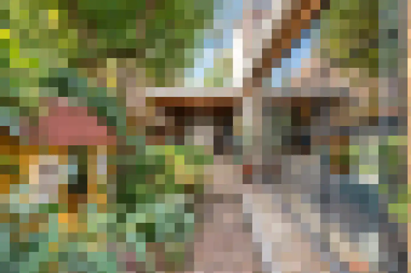Westerwal 5 Culemborg thumbnail 33