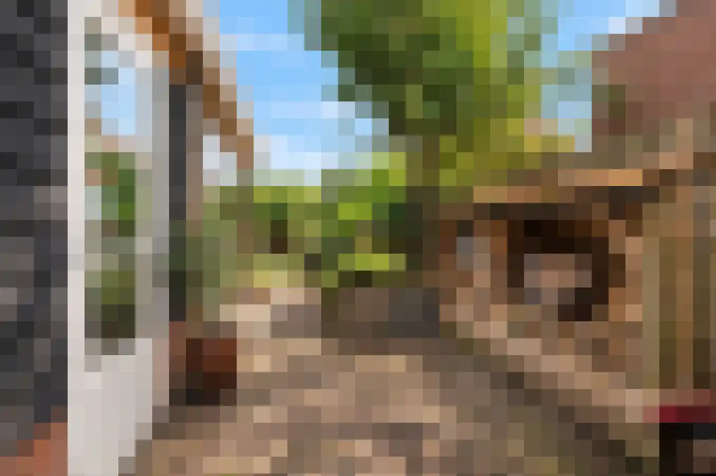 Westerwal 5 Culemborg thumbnail 34