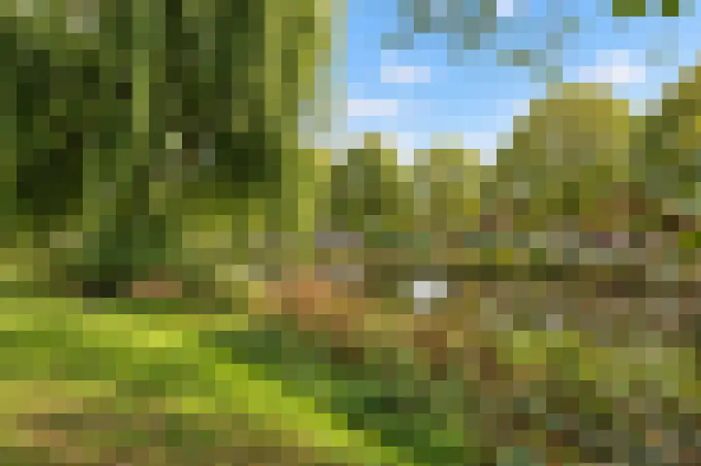 Westerwal 5 Culemborg thumbnail 56