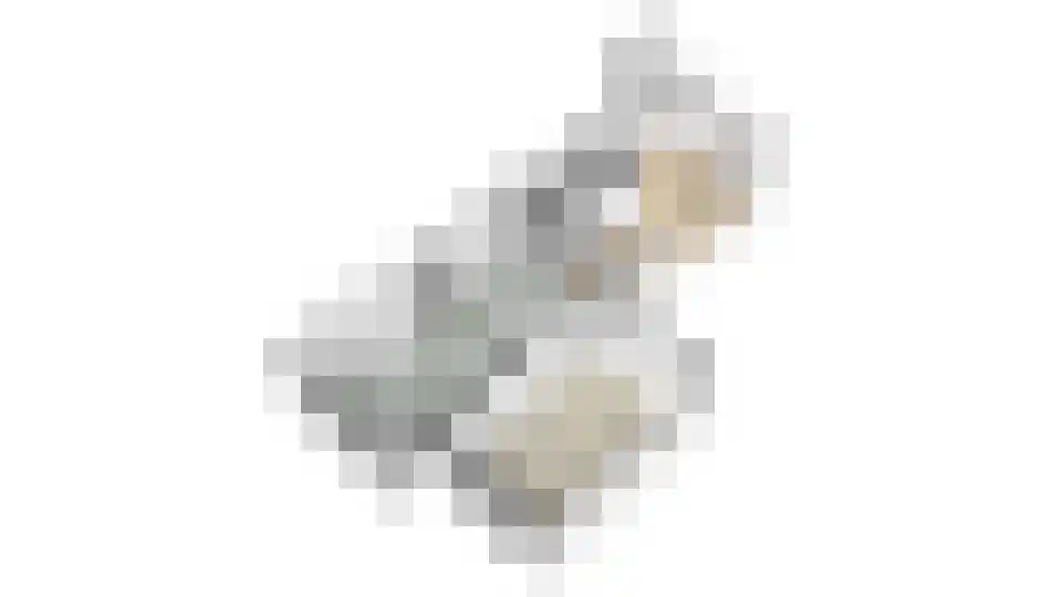 Westerwal 5 Culemborg thumbnail 62