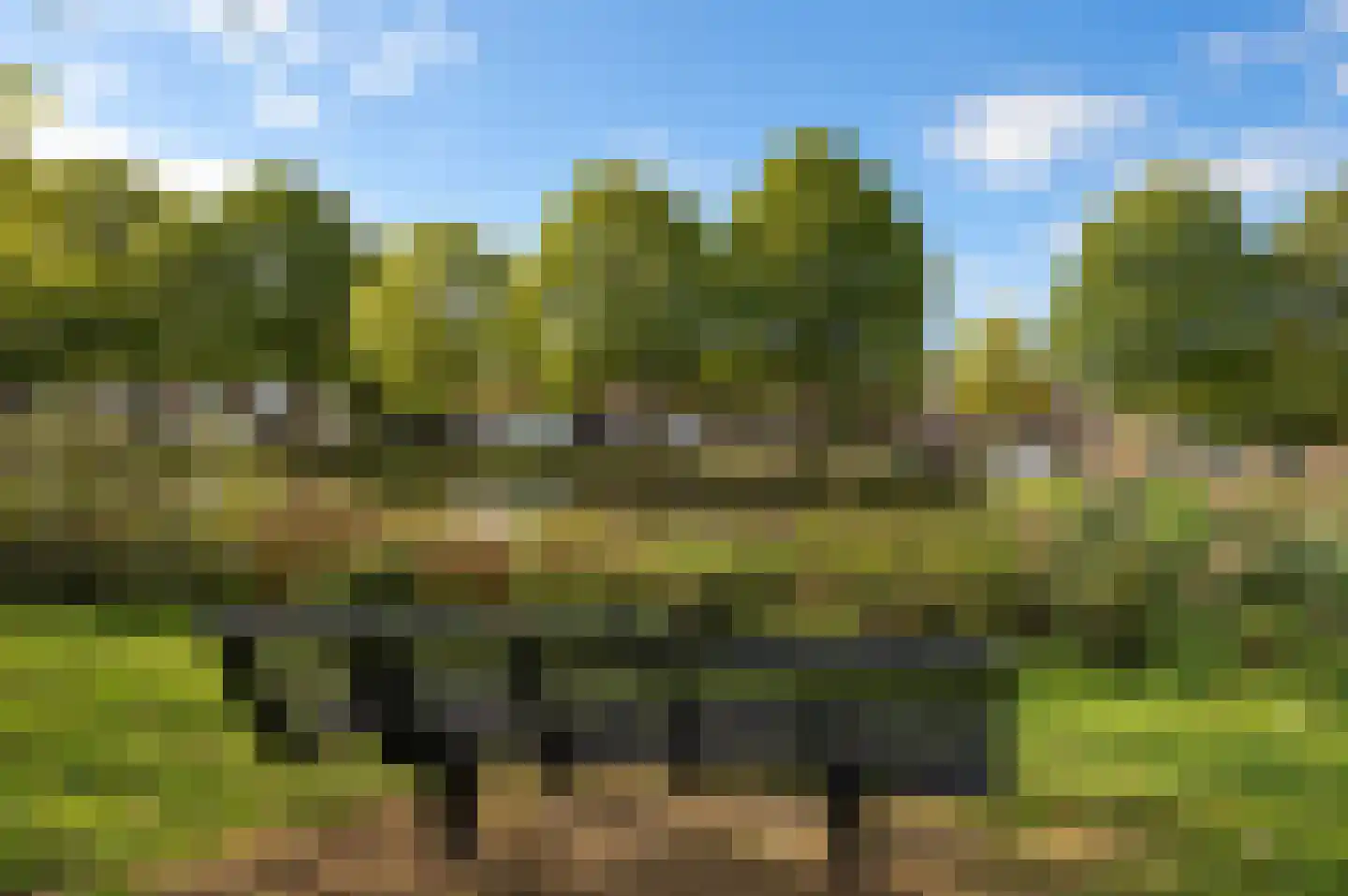 Westerwal 5 Culemborg thumbnail 8